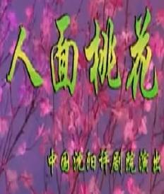 评剧《人面桃花》- 经典戏曲下载 - 高清音质MP3格式