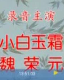 小白玉霜音配像《朱痕记》，戏曲经典片段，领略传统戏曲魅力下载