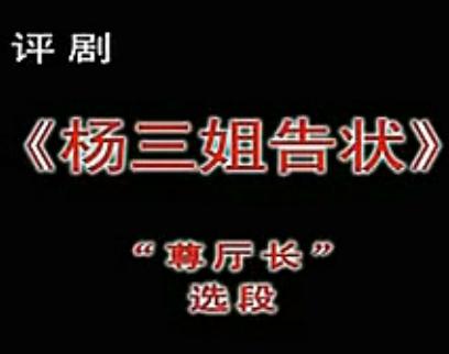 评剧《杨三姐告状》选段：尊厅长【谷文月】 