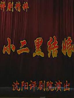 评剧《小二黑结婚》全集下载 - 沈阳评剧院演出版高清MP4视频资源分享下载