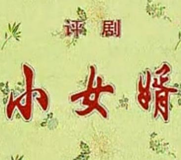小女婿 音配像 戏曲下载 - 经典剧目在线观看及高清资源获取平台下载