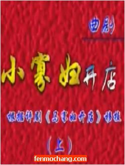 小寡妇开店