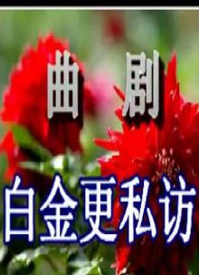 曲剧白金庚私访