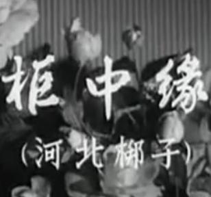 河北梆子电影《柜中缘》- 王俊英、胡秀萍主演，剧情简介及在线观看下载