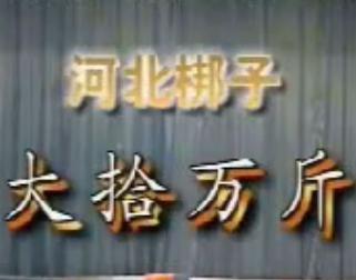 河北梆子《大拾万斤》全剧下载 - 经典戏曲在线观看与下载平台 河北梆子《大拾万斤》全剧下载 - 经典戏曲在线观看与下载平台