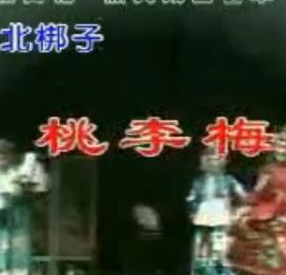 河北梆子《桃李梅》全集在线观看 - 经典戏曲全本剧情介绍及演员表 河北梆子《桃李梅》全集在线观看 - 经典戏曲全本剧情介绍及演员表