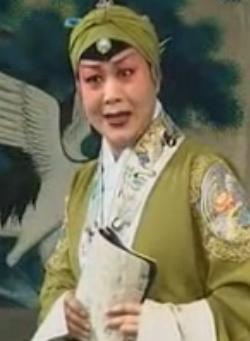 河北梆子《岳母刺字》唱段 想当年守孤灯将儿教养——高秀等主演，剧情介绍及下载资源下载