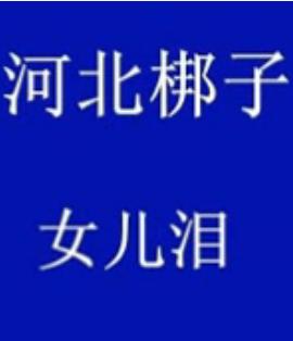 河北梆子《女儿泪》- 无极河北梆子剧团精彩演绎，感受家庭亲情的力量！下载