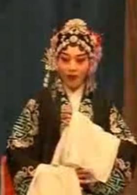 河北梆子《大拾万金》全集/高清MP4下载-李翠莲上吊经典剧目-戏曲资源分享站下载