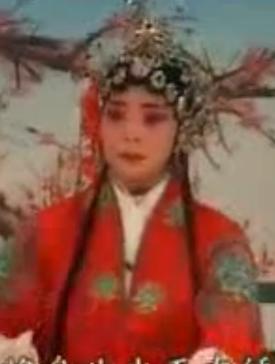 河北梆子经典剧目《丁香割肉》- 全剧下载 | 戏曲资源网下载