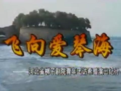 河北梆子剧院青年团赴国外演出专辑-戏曲音乐-国际电视总公司出版 河北梆子剧院青年团赴国外演出专辑-戏曲音乐-国际电视总公司出版