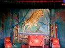 南路丝弦《纪阳关 之 景丹拦轿》 经典戏曲片段,精彩不容错过! 南路丝弦《纪阳关 之 景丹拦轿》 经典戏曲片段,精彩不容错过!