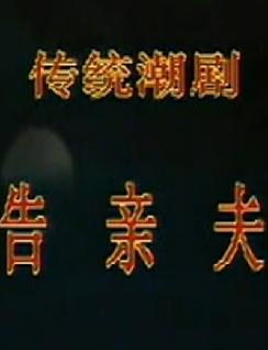 潮剧《告亲夫》全集 - 广东潮剧二团精彩呈现，感受传统戏曲魅力下载