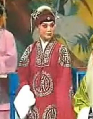 秦腔《岳母刺字》全集_王辅生李爱琴主演_精忠报国经典剧目下载下载