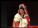 七奶奶进京