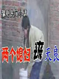 俩个媳妇伤天良 - 经典豫剧剧目,讲述家庭矛盾与伦理道德的故事 俩个媳妇伤天良 - 经典豫剧剧目,讲述家庭矛盾与伦理道德的故事