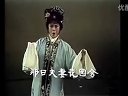 《血手印》全集 - 戚雅仙、毕春芳主演越剧经典剧目剧情介绍及下载
