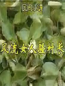 安徽民间小调:风流女人骚村长 安徽民间小调:风流女人骚村长