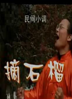 民间小调《摘石榴》- 江涛/年华演唱 - 经典戏曲下载 民间小调《摘石榴》- 江涛/年华演唱 - 经典戏曲下载