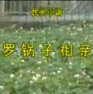 安徽民间小调 罗锅子相亲 - 精彩戏曲下载