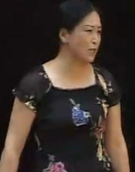 安徽民间小调 婆婆不是娘 - 黄梅戏经典剧目 | 剧情简介 | 演员阵容下载