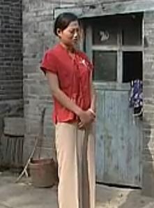 安徽民间小调 小寡妇串门 - 精彩剧情介绍及演员阵容揭秘