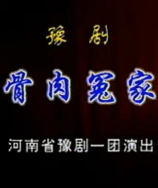 豫剧《骨肉冤家》全场戏 - 经典戏曲下载，感受豫剧艺术的魅力