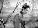 锡剧《金玉奴》 石修、黄杏秀、罗国维主演，经典戏曲下载下载