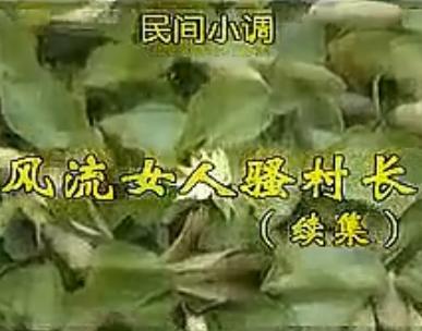 安徽民间小调:风流女人骚村长续集 安徽民间小调:风流女人骚村长续集