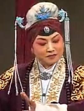 晋剧《佘太君辞朝》全集在线观看 - 孙红丽主演,精彩剧情不容错过! 晋剧《佘太君辞朝》全集在线观看 - 孙红丽主演,精彩剧情不容错过!