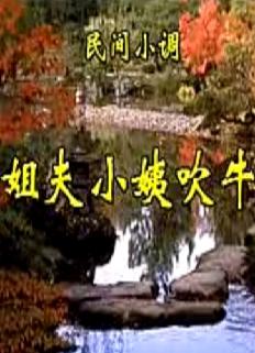 安徽民间小调 姐夫小姨吹牛 - 精彩剧情介绍及演员阵容解析 安徽民间小调 姐夫小姨吹牛 - 精彩剧情介绍及演员阵容解析