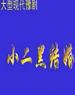 豫剧《小二黑结婚》全集下载_柳兰芳姚灵生主演戏曲资源下载