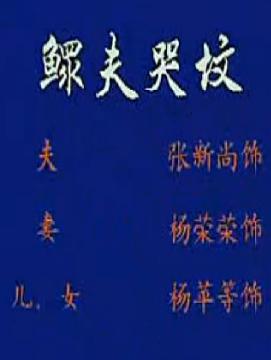 眉户戏《男寡妇哭坟》全集在线观看 - 戏曲下载网站提供高清完整版
