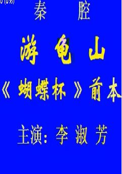 秦腔《蝴蝶杯》全本戏 - 李淑芳主演，剧情简介及在线观看