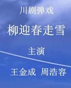川剧弹戏《柳迎春》- 陈巧茹主演，剧情简介及下载资源下载