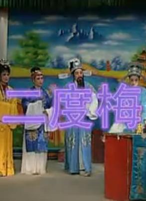 越剧《二度梅》全集在线观看 - 经典越剧情节介绍及演员阵容解析下载