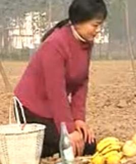 安徽民间小调 大伯哥闹洞房 黄梅戏经典剧目 洞房花烛夜搞笑片段 传统戏曲下载