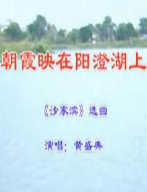 潮剧《沙家浜》 经典剧目，展现抗战时期的英勇事迹