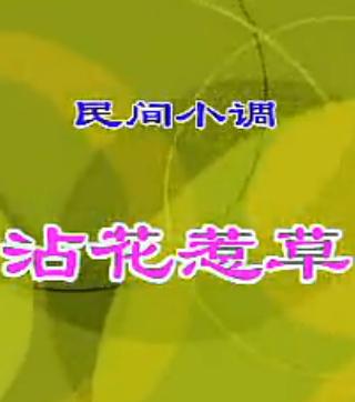 安徽民间小调 沾花惹草 - 经典民歌欣赏 安徽民间小调 沾花惹草 - 经典民歌欣赏