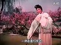 越剧《真假女婿》- 蔡东妃主演精彩演绎，不容错过！