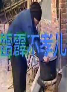 雷劈不孝儿戏曲下载 - 经典孝道题材剧目在线观看及MP3音频资源获取