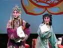 《芦花》上_主演:武卫仙,胡嫦娥,成雪_京剧经典剧目_剧情简介及演员阵容全解析下载