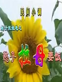 安徽民间小调 憨子拉母要饭 - 精彩剧情介绍 安徽民间小调 憨子拉母要饭 - 精彩剧情介绍