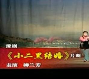 清凌凌的水来蓝莹莹的天 柳兰芳主演豫剧高清在线观看 - 戏曲下载网