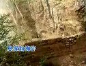 《蝴蝶杯》选段 - 豫剧伴奏版 | 李洪超演奏板胡音乐