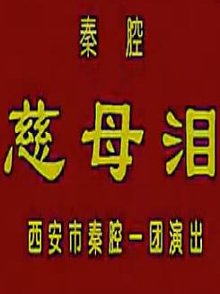 秦腔《慈母泪》全集下载 - 经典戏曲慈母泪高清MP4资源