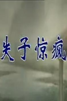 晋剧《失子惊疯》全集在线观看 - 太原市实验晋剧院青年剧团精彩演出下载