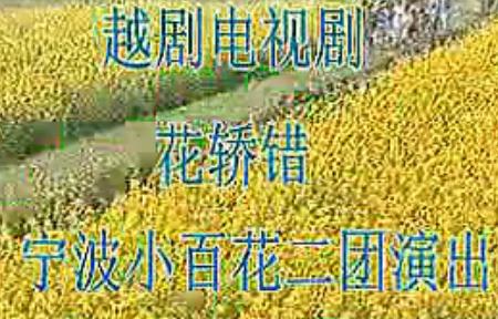 越剧《花轿错》全剧下载 - 陈萍、柯雅维主演经典剧目