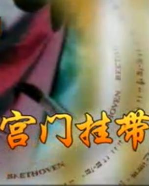 越剧《宫门挂带》全剧下载 - 蔡东妃主演经典戏曲