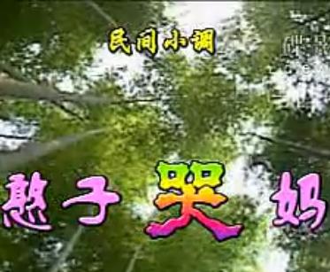 安徽民间小调 憨子哭妈 - 戏曲下载 | 剧情简介、演员阵容及剧种介绍